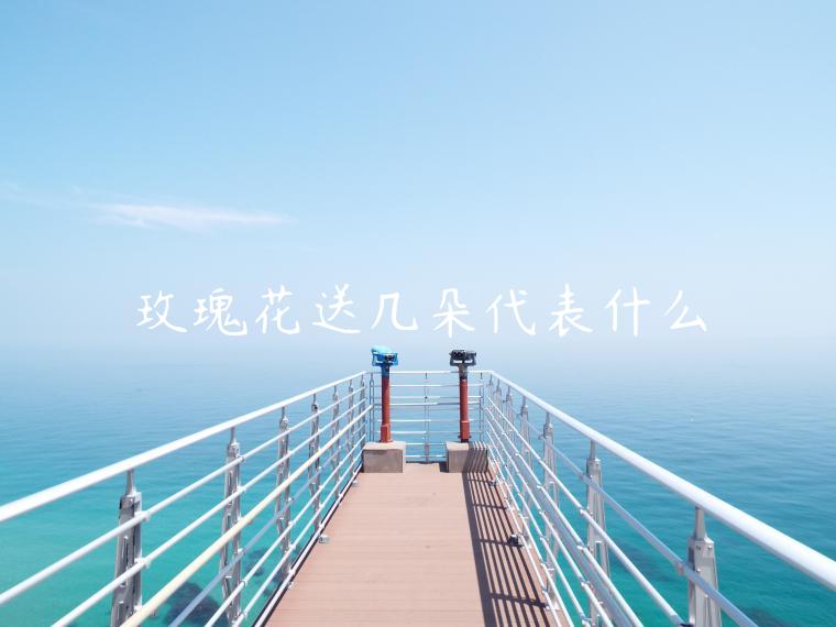 玫瑰花送几朵代表什么