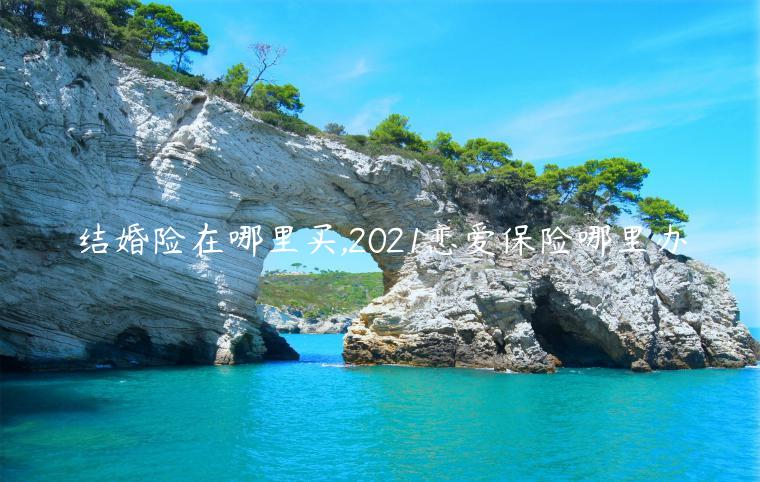 结婚险在哪里买,2021恋爱保险哪里办