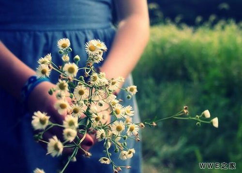 冷瞳少女 沐兮陌墨    不念过往    浅夏花开    森眸暖光    凉笙墨